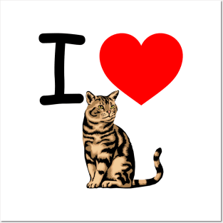 I Heart Tabby Cat Posters and Art